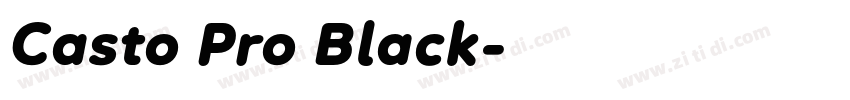 Casto Pro Black字体转换